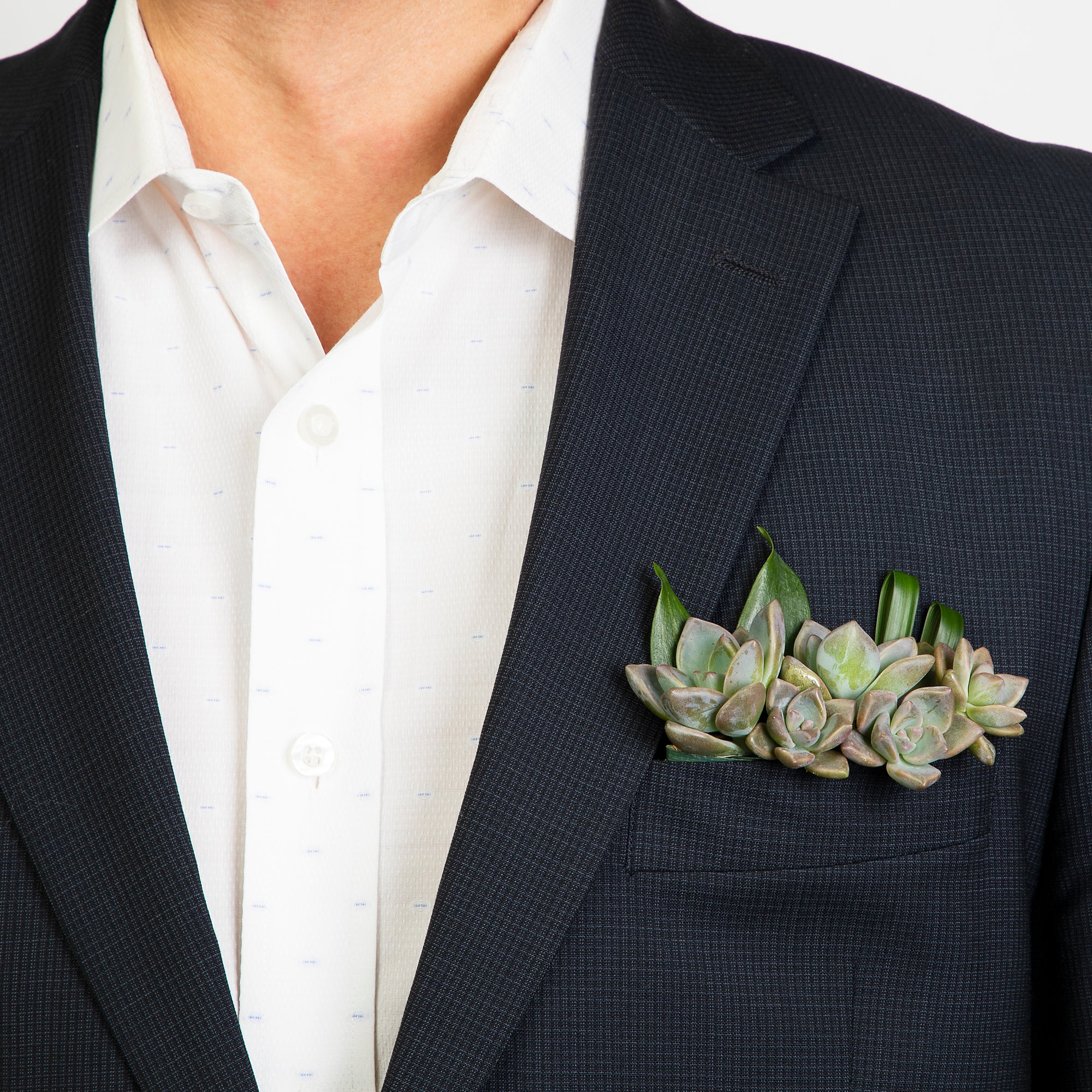 succulent pocket square Succulent Pocket boutonniere – Shop Venetian