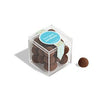 Cold Brew Cordials cube